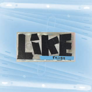 LIKE THINGS – An Experimental Animation workshop with Ed Ackerman & Rhayne Vermette