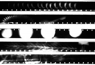 FLASHES OF LIGHT: 16MM B&W RAYOGRAMS AND CONTACT PRINTING