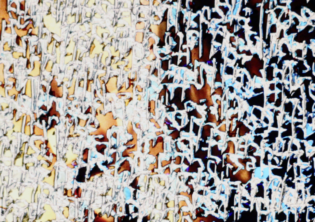 Analog Film and the Body: Workshop with Nazli Dincel