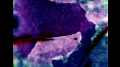 Baked Goods For Norman