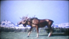 Sundown at the Dusty Trail