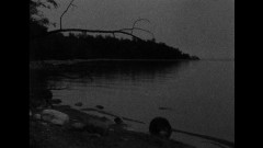 Tasman Hates the Beach