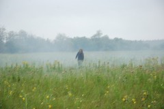 Isle of Hermaphrodites