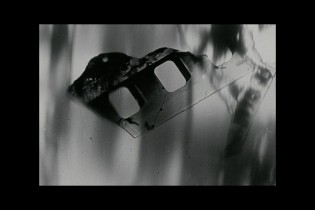 RAYOGRAPH Workshop with The Windows Collective